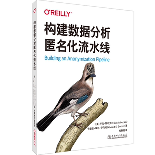 正版书籍 构建数据分析匿名化流水线卢克·阿布克尔中国电力出版社工业技术数据处理普通大众人天书店畅销书排行榜
