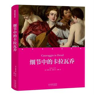 细节中的卡拉瓦乔斯特凡诺·祖菲  传记书籍