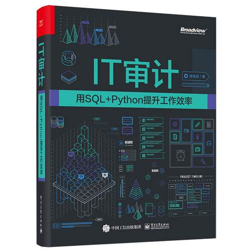 IT审计:用SQL+Python提升工作效率 涂佳兵   经济书籍