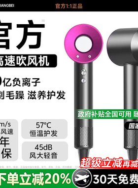 电吹风机家用负离子护发静音速干官方正品宿舍学生用华强北大风力