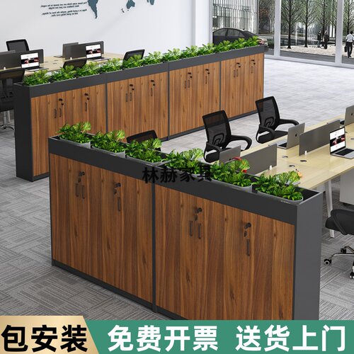 入户大厅隔断柜矮柜办公室文件资料花槽简约现代储物柜双面加锁柜