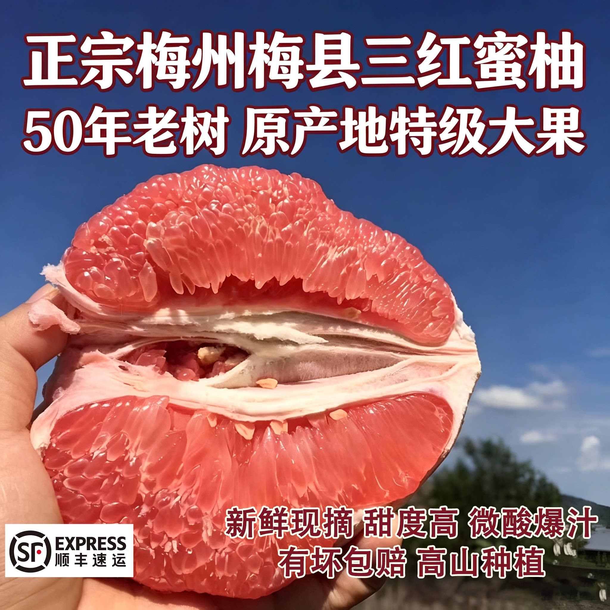 红肉蜜柚新鲜现摘三红蜜柚孕妇