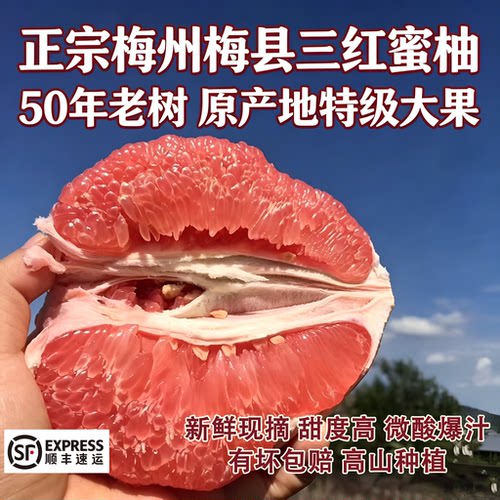 红肉蜜柚新鲜现摘三红蜜柚孕妇