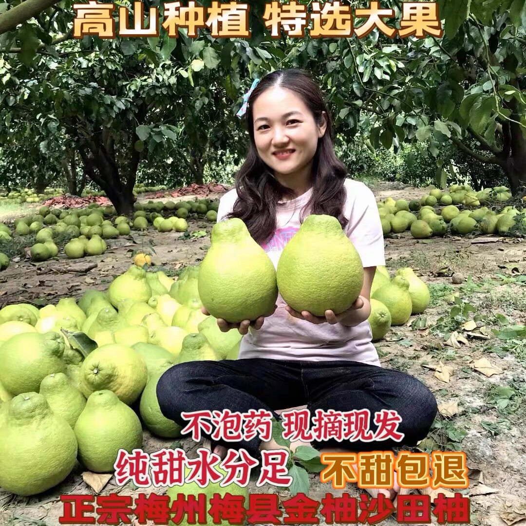50斤纯甜沙田柚子正宗梅州白心白肉柚子当季新鲜孕妇水果现摘红肉