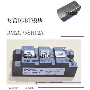 DM2G75SH12A DM2G100SH12AE MPMB50B120RH MPMB100B120RH 150SH6A