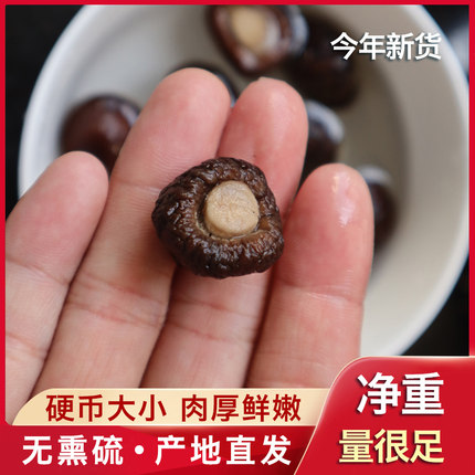 福建古田金钱菇干货小香菇无熏硫农家特产剪脚肉厚珍珠菇净重量足