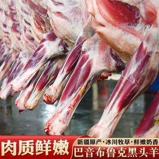 新疆羊肉新鲜现杀正宗黑头羊绵羊肉生鲜羊排羊腿羊蝎子羊腩羔羊肉