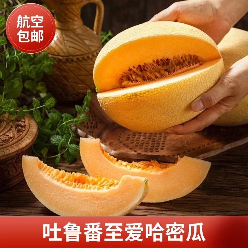 新疆哈密瓜原产地发货正宗吐鲁番至爱蜜瓜黄皮网纹瓜现摘现发水果