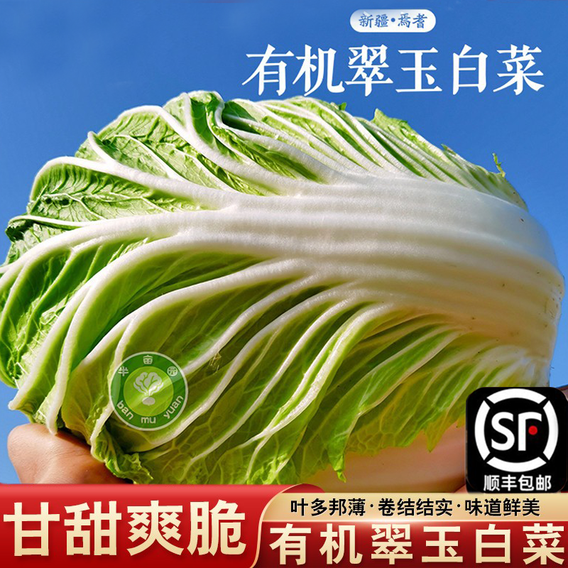 新疆大白菜半亩园有机翠玉白菜当季新鲜霜打蔬菜现摘现发黄心8斤,水产肉类/新鲜蔬果/熟食,叶菜类,淘宝优惠券,粉丝福利购,淘宝优惠卷