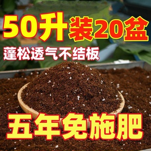 50升通用型泥炭营养土种菜土花土养花配方土壤多肉绿萝种植有机土