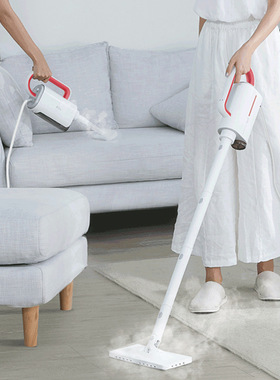 德尔玛DEM-ZQ610多功能高温高压油烟机手持式空调油污蒸汽清洁机