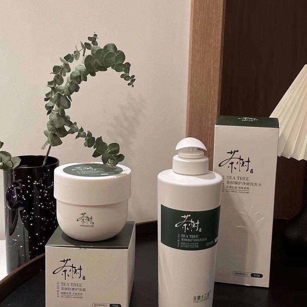 官方正品朵素十二木茶树