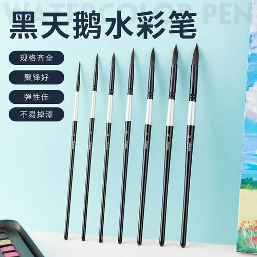 黑天鹅套装水彩笔美术专用红胖子松鼠软毛圆头绘画数字油画diy
