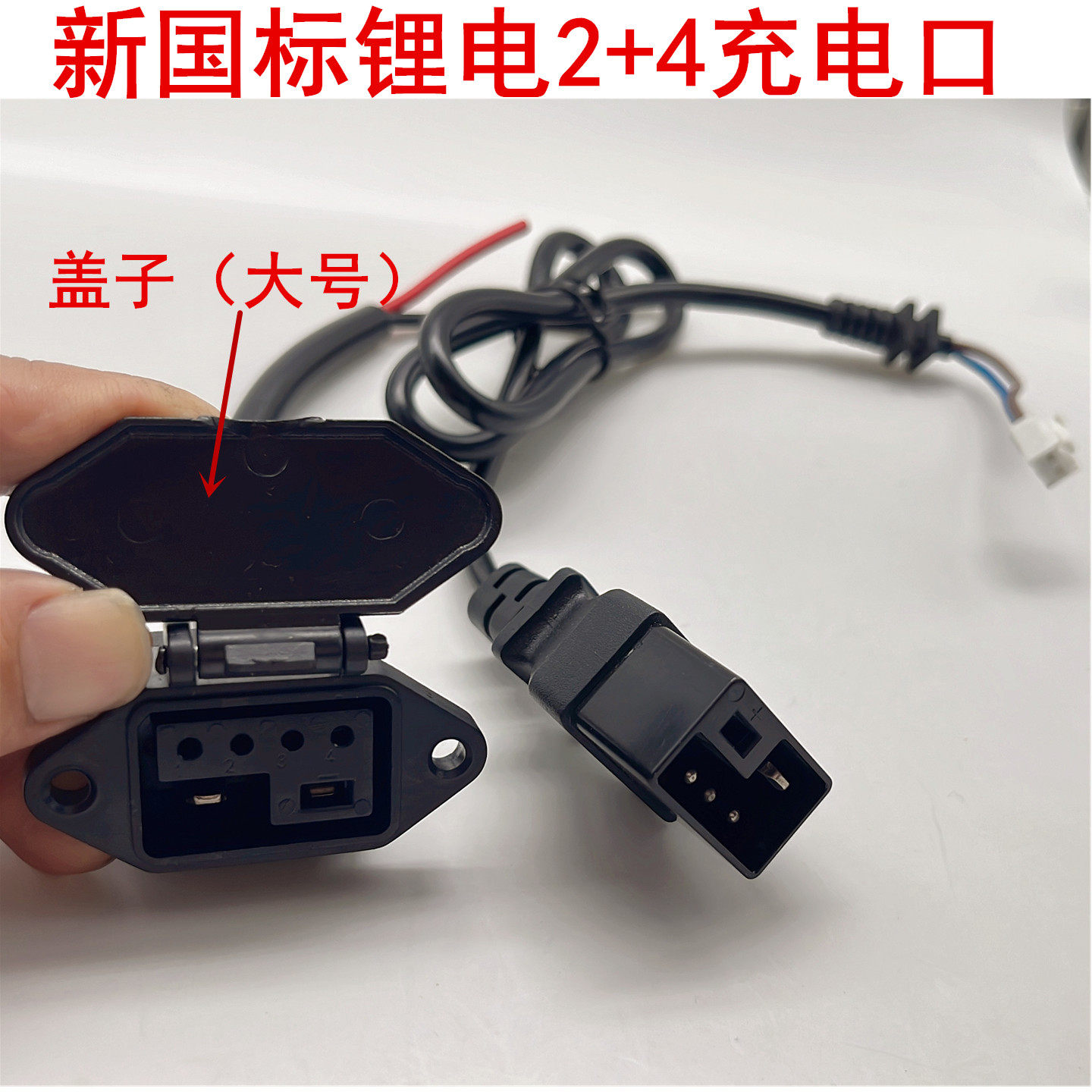 新国标2+4锂电电动车充电插座接口充电器插头线新能源锂电充电口