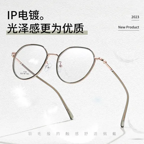眼镜可配丹阳复古眼镜架近视圆框1119tr90眼镜框镜框女款合金