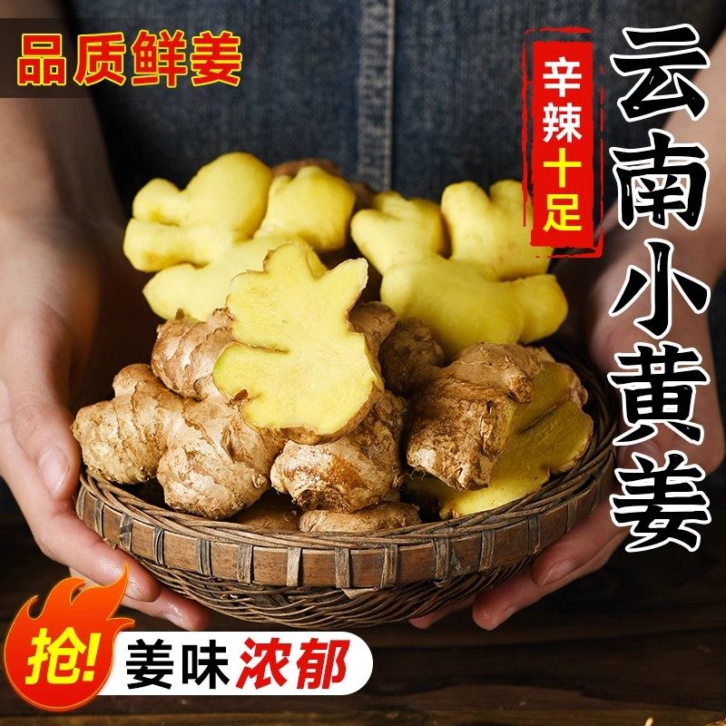 【下单立减50】正宗云南小黄姜新鲜现挖生姜辛辣十足美味