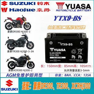 适合豪爵TR300 DR300 XCR300 HJ300-2摩托车电瓶12V通用蓄电池
