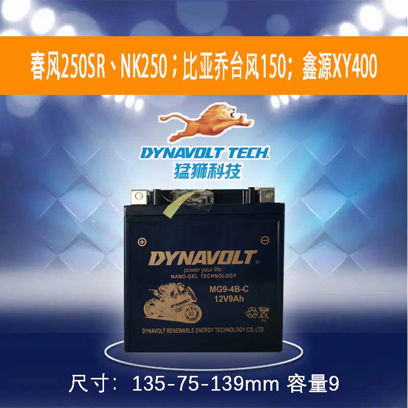 RA200 春风250SR NK250 铃木EN 力帆KPR200 比亚乔台风150 电瓶