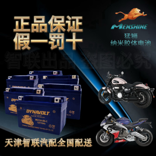 猛狮摩托车电瓶电池12V通用