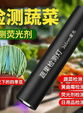 【新款】紫光残留检测蔬菜水果检测器验钞车载车载阅读灯zp