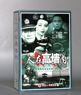 正版 盒装 4VCD 主演：王志刚 人在高墙内