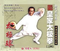 正版俏佳人武术教学 杨式府内派皇家太极拳太极球VCD 李正