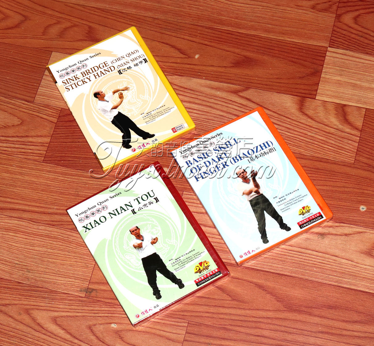 正版 陆柏钧 咏春拳系列 基本功/标指/小念头/粘手/沉桥 粤语3DVD