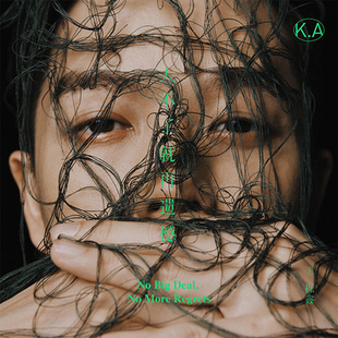 专辑 歌词本 王栎鑫 CD唱片 2019新专辑 大不了就再遗憾 正版