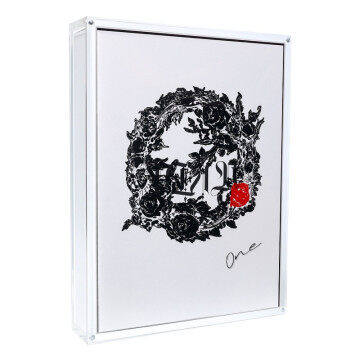 NINEONE赵馨玥专辑乃万The Plan明天没有计划O唱片CD+台历+明信片