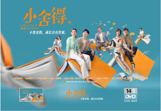 正版电视剧 小舍得 高清珍藏版14dvd碟片 宋佳 佟大为