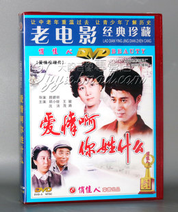 王骏 沈洁 1DVD 正版 顾小铨 爱情你姓什么 天韵