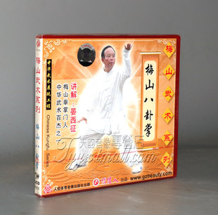 2VCD 梅山八卦掌 晏西征 梅山武术系列 正版