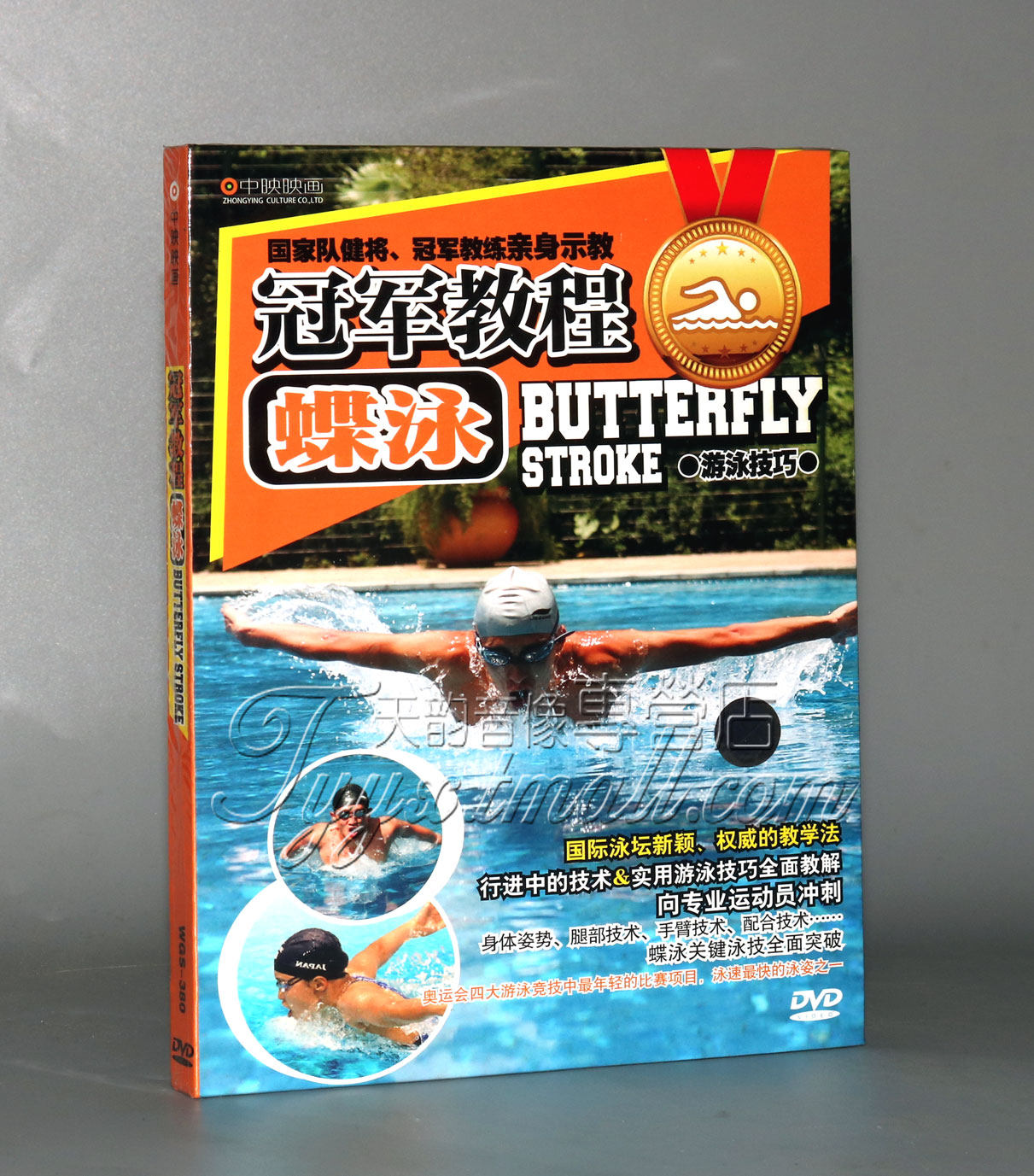 正版学游泳 冠军教程 蝶泳 dvd 蝶泳技巧教学dvd光盘碟片