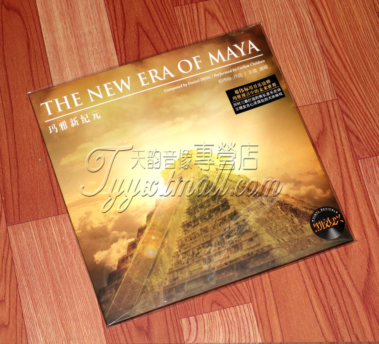 留声机专用大碟 邓伟标作品 王珺演唱 玛雅新纪元  LP黑胶唱片