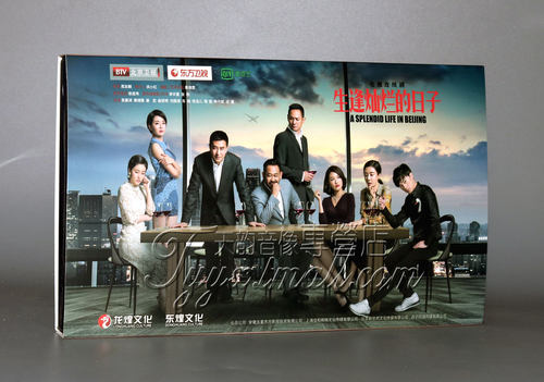 正版 电视剧 生逢灿烂的日子 经济版盒装10DVD 张嘉译 果静林