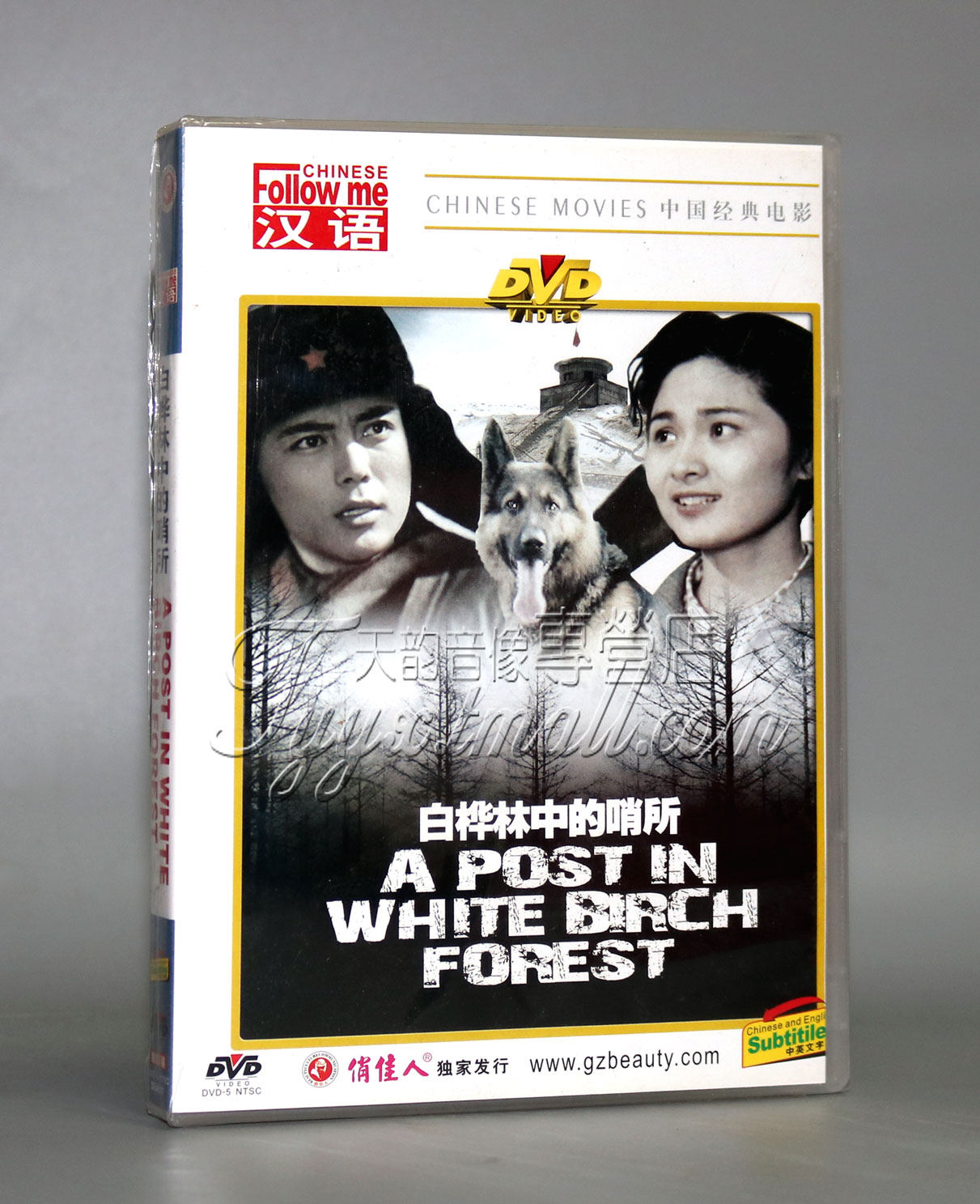 正版 老电影 白桦林中的哨所 盒装dvd 卢君 韩月乔 王滨雁