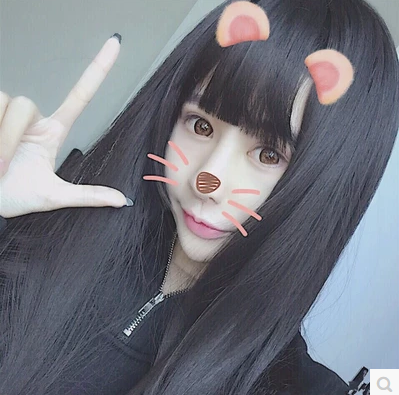 Perruque Long cheveux raides - Ref 2609193 Image 4