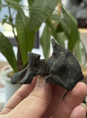 天然太湖石茶宠茶台禅意小摆件天然原石把玩件原石原皮 桌面摆件