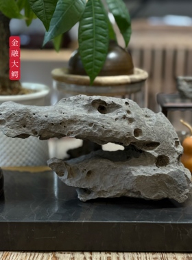 金融大鳄 天然太湖石摆件 象形石 回头扬子鳄 书桌办公桌面置景