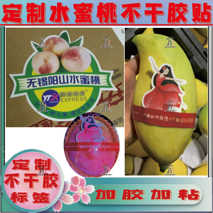 定制新鲜水蜜桃标签芒果黄皮果西梅杨梅脆李鲜果水果冷链包装不干