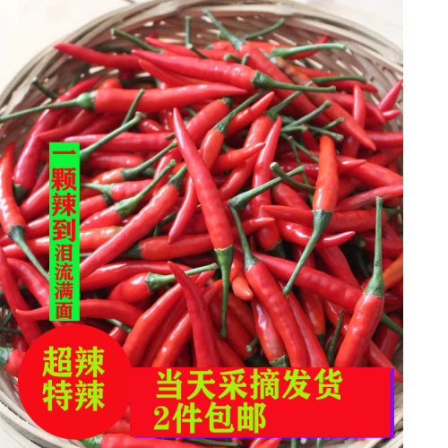新鲜红辣椒小米现摘包邮