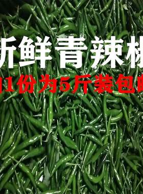 朝天椒小尖椒青辣椒泡椒青小米椒