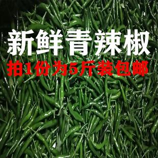 新鲜青小米椒特辣现摘农家小尖椒朝天椒泡椒青色辣椒青辣椒农家种