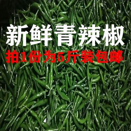 新鲜青小米椒特辣现摘农家小尖椒朝天椒泡椒青色辣椒青辣椒农家种
