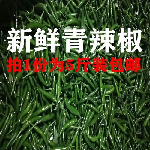 朝天椒小尖椒青辣椒泡椒青小米椒