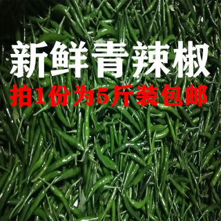 新鲜青辣椒 新鲜青小米椒 新鲜青朝天椒 新鲜辣椒现摘5斤包邮