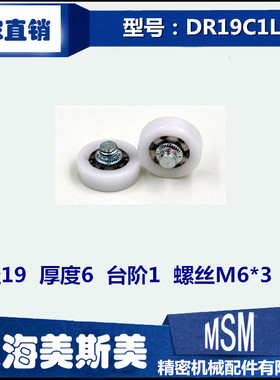 厂家直销台湾高端曝光机指定用滑轮高品质塑料滑轮尼龙DR19C1L3
