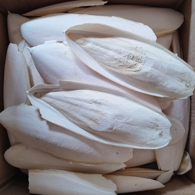 亳百惠墨鱼骨磨牙脱盐