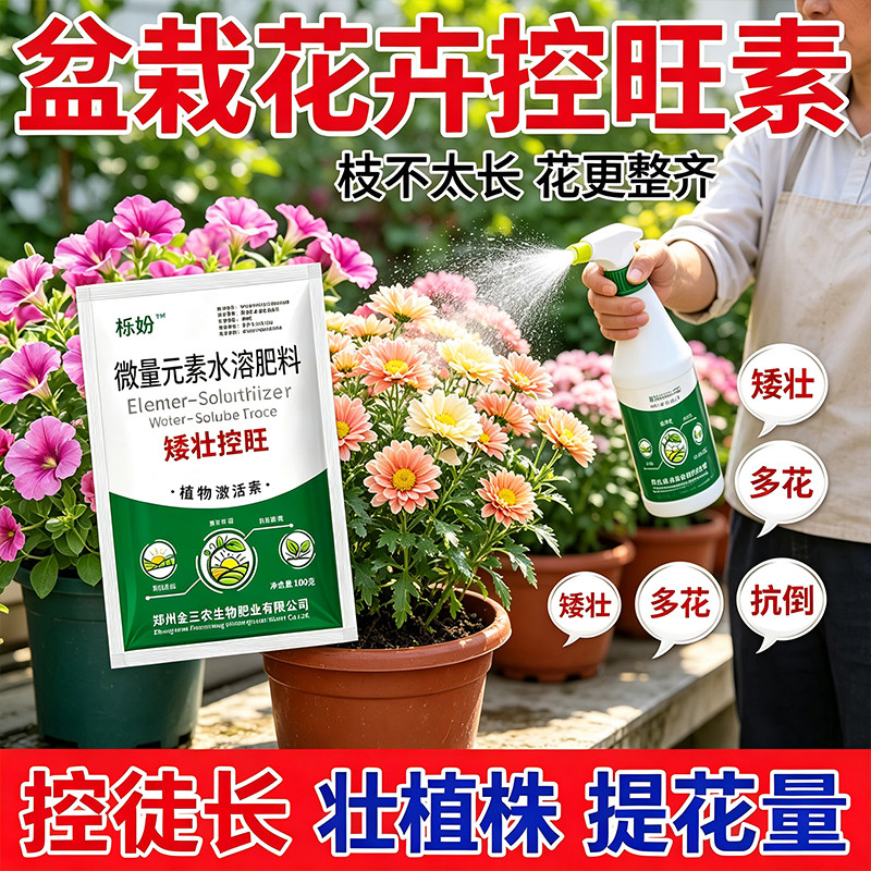太阳花控旺矮化控型矮壮紧凑不易倒伏四季花卉超矮老桩植物通用型
