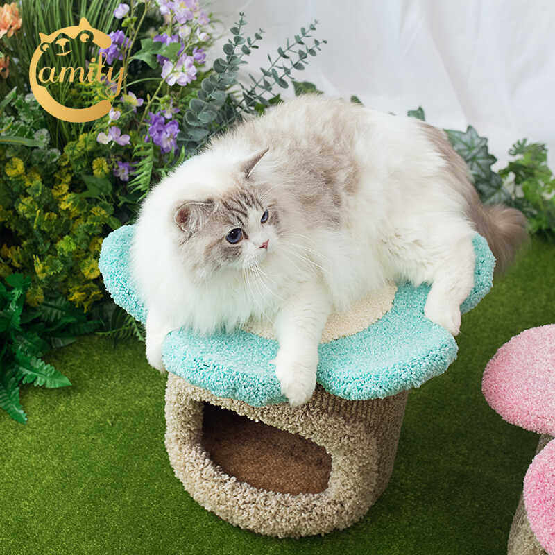 迷你猫窝猫爬架camily蘑菇墩墩